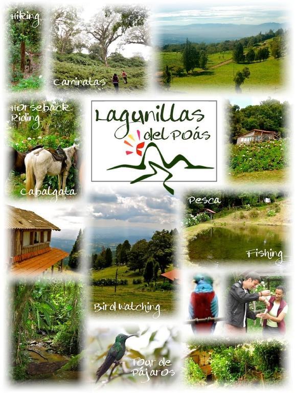 Lagunillas Del Poas Poasito Номер фото