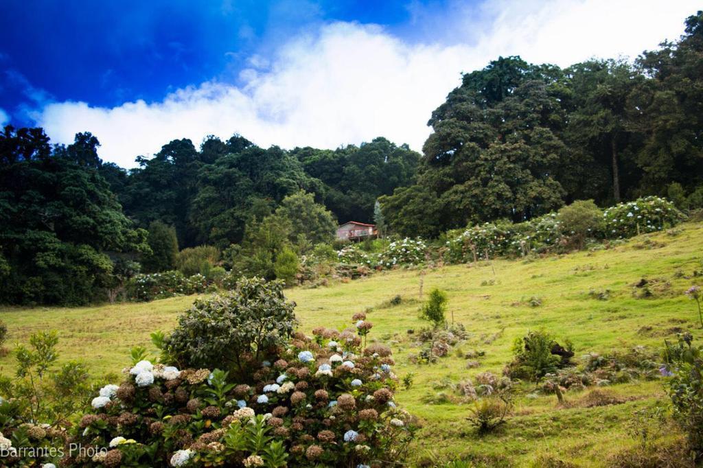 Lagunillas Del Poas Poasito Екстер'єр фото