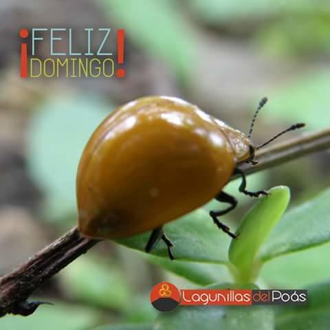 Lagunillas Del Poas Poasito Екстер'єр фото