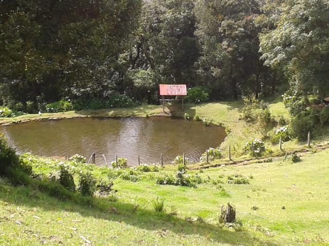 Lagunillas Del Poas Poasito Екстер'єр фото